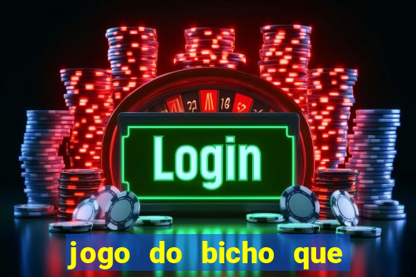 jogo do bicho que paga no pix